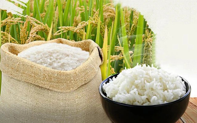 Nội thất văn Phòng